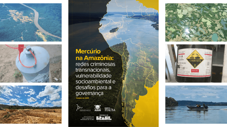 Capa: Mercúrio na Amazônia: redes criminosas transnacionais, vulnerabilidade socioambiental e desafios para a governança